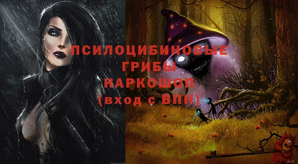 твердый Алексин