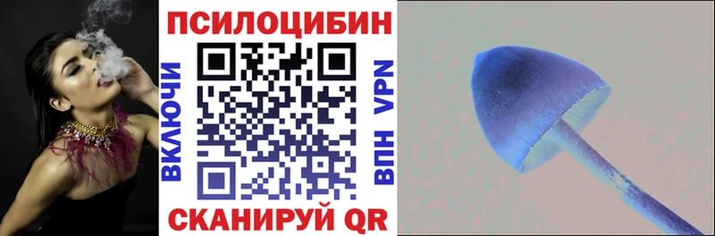 сколько стоит  Россошь  Галлюциногенные грибы прущие грибы 